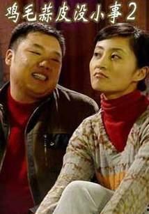 电视剧鸡毛蒜皮没小事,邻里琐事中的温情与智慧